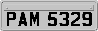PAM5329