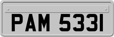 PAM5331