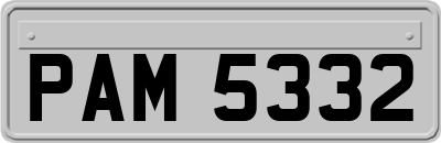 PAM5332