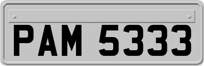PAM5333
