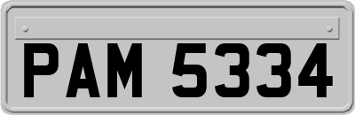 PAM5334
