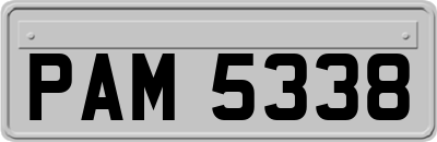 PAM5338