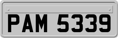 PAM5339