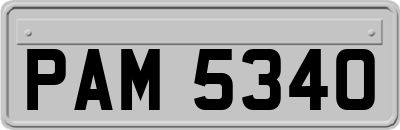 PAM5340
