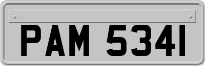 PAM5341