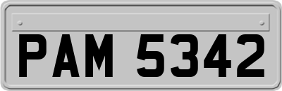 PAM5342