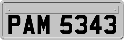 PAM5343