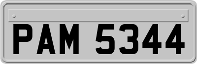PAM5344