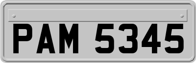 PAM5345