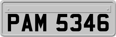 PAM5346