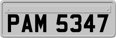 PAM5347