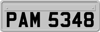 PAM5348