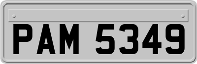 PAM5349