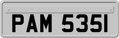 PAM5351