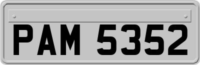 PAM5352