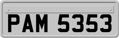 PAM5353