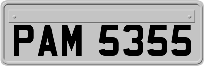 PAM5355