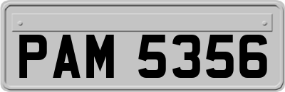 PAM5356