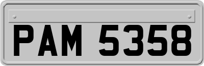 PAM5358