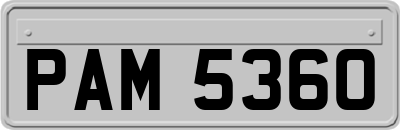 PAM5360