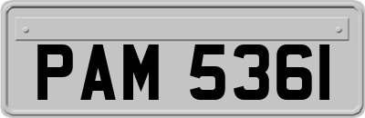 PAM5361