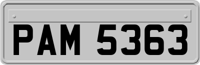 PAM5363