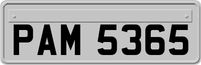 PAM5365