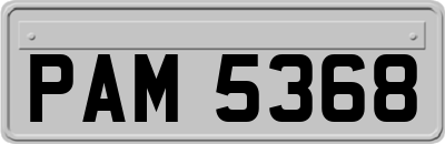PAM5368