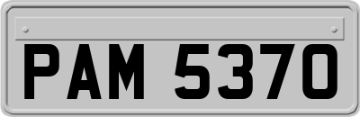 PAM5370