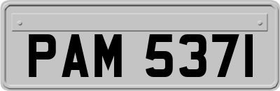 PAM5371