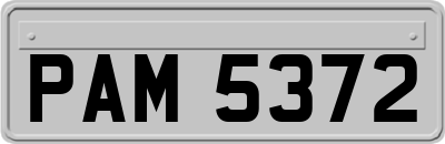 PAM5372
