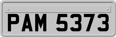 PAM5373