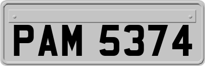 PAM5374