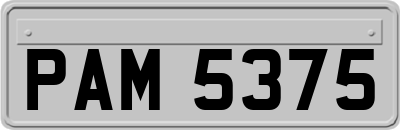 PAM5375