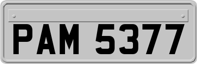 PAM5377
