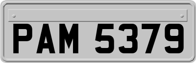PAM5379