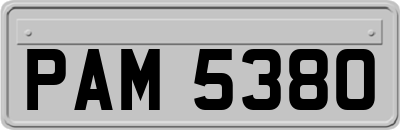 PAM5380