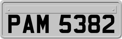PAM5382