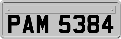 PAM5384