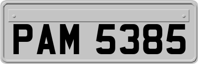PAM5385
