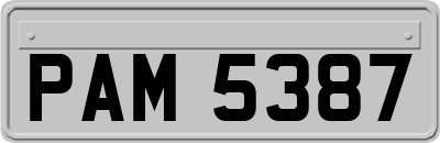 PAM5387