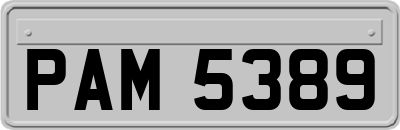 PAM5389