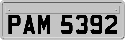 PAM5392