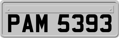 PAM5393