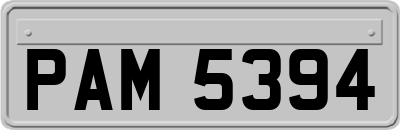 PAM5394