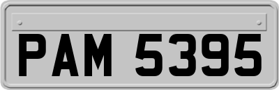 PAM5395