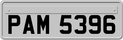 PAM5396