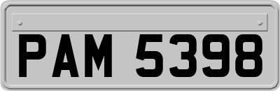 PAM5398