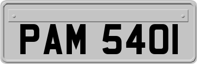 PAM5401