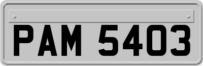 PAM5403